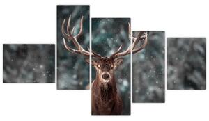 Obraz - jeleň v zime (Obraz 150x85cm)