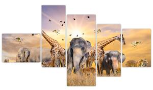 Obraz - safari (Obraz 150x85cm)