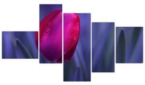 Obraz - tulipán (Obraz 150x85cm)
