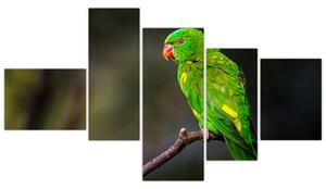 Obraz zeleného papagája (Obraz 150x85cm)
