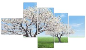 Obraz kvitnúceho stromu na jarné lúke (Obraz 150x85cm)