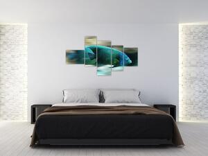 Obraz na stenu - ryby (Obraz 150x85cm)
