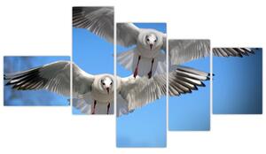 Obraz do bytu - vtáky (Obraz 150x85cm)