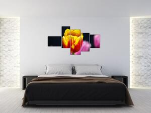 Obraz tulipánu (Obraz 150x85cm)