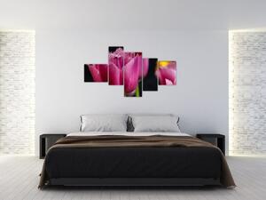 Tulipány - obrazy (Obraz 150x85cm)