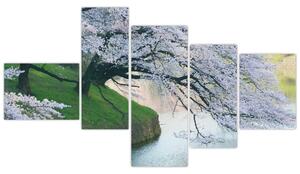 Obraz kvitnúcich stromov (Obraz 150x85cm)