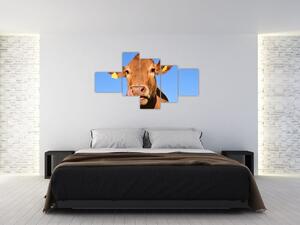 Obraz kravy (Obraz 150x85cm)