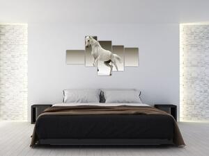 Obrazy bieleho koňa (Obraz 150x85cm)
