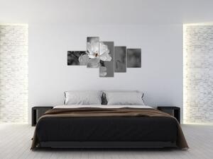 Čiernobiely obraz (Obraz 150x85cm)