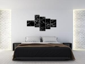 Čiernobiely mramor - obraz (Obraz 150x85cm)
