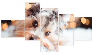 Obraz psa (Obraz 150x85cm)