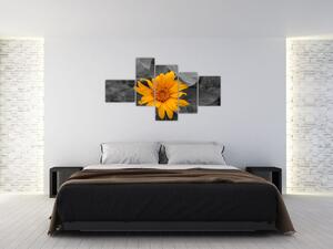 Obraz oranžového kvetu (Obraz 150x85cm)