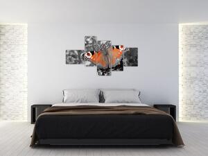 Oranžový motýľ - obraz (Obraz 150x85cm)