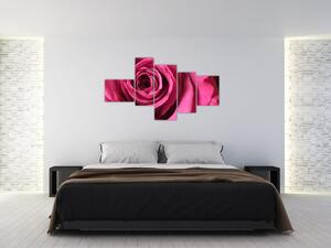 Obraz ružové ruže (Obraz 150x85cm)