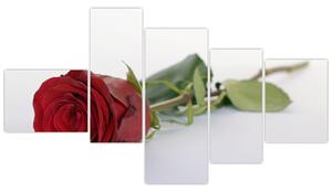 Obraz červené ruže (Obraz 150x85cm)