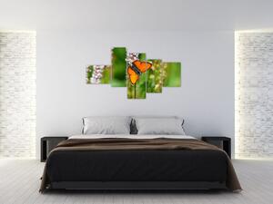 Moderný obraz motýľa na lúke (Obraz 150x85cm)