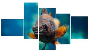 Obraz - ryba (Obraz 150x85cm)