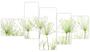 Obraz rastlín na bielom pozadí (Obraz 150x85cm)