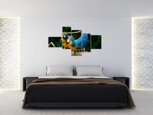 Obraz papagájov na lane (Obraz 150x85cm)