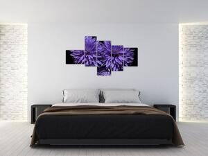 Obraz fialových kvetov (Obraz 150x85cm)