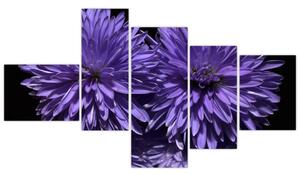 Obraz fialových kvetov (Obraz 150x85cm)