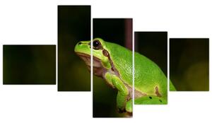 Obraz žaby (Obraz 150x85cm)