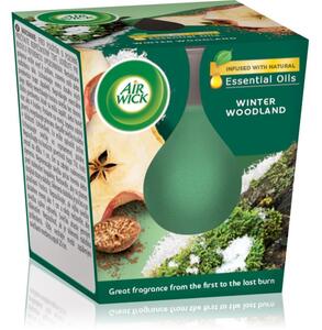 Air Wick Essential Oils Winter Woodland vonná sviečka 105 g