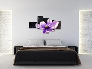 Obraz fialového kvetu (Obraz 150x85cm)