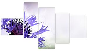 Obraz fialového kvetu (Obraz 150x85cm)
