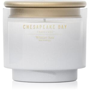 Chesapeake Bay Fragrance Winter Sea vonná sviečka s vekom 127 g