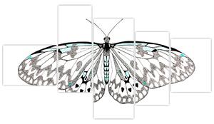 Čiernobiely motýľ (Obraz 150x85cm)