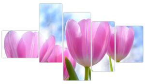 Obraz ružových tulipánov (Obraz 150x85cm)