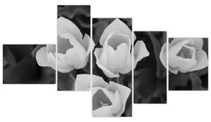 Čiernobiele kvety (Obraz 150x85cm)