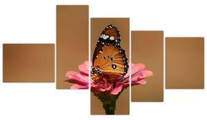 Obraz motýľa (Obraz 150x85cm)