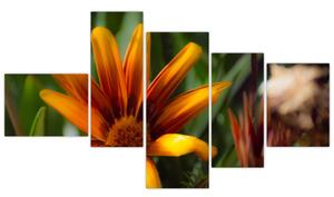 Obraz detailu kvety (Obraz 150x85cm)