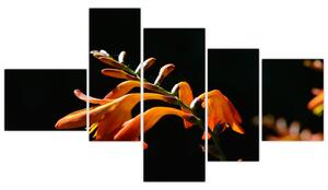 Obraz detailu kvety (Obraz 150x85cm)