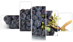 Obraz s hroznovým vínom (Obraz 150x85cm)
