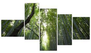 Obraz lesov (Obraz 150x85cm)