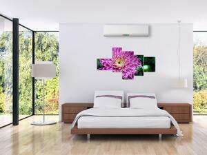 Obraz kvetu na stenu (Obraz 150x85cm)