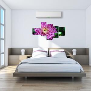 Obraz kvetu na stenu (Obraz 150x85cm)