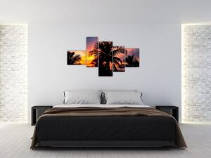 Obraz palmy na stenu (Obraz 150x85cm)