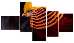 Obraz vtáka (Obraz 150x85cm)
