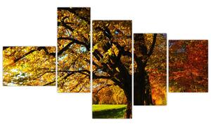 Obraz jesennej krajiny (Obraz 150x85cm)