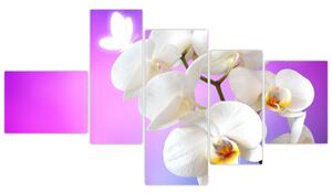 Obraz s orchideí (Obraz 150x85cm)