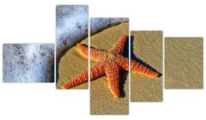 Obraz s morskou hviezdou (Obraz 150x85cm)