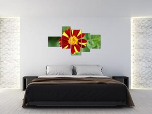 Obraz kvety na stenu (Obraz 150x85cm)
