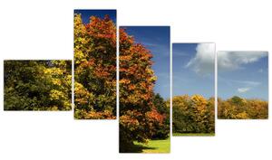 Jesenná krajina, obraz (Obraz 150x85cm)