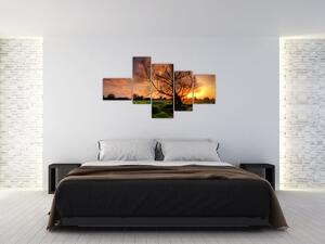 Západ slnka, obrazy (Obraz 150x85cm)