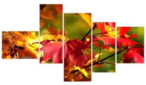 Jesenné lístie, obraz (Obraz 150x85cm)