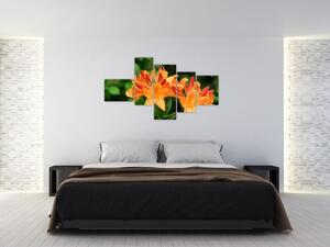 Obraz kvetín (Obraz 150x85cm)